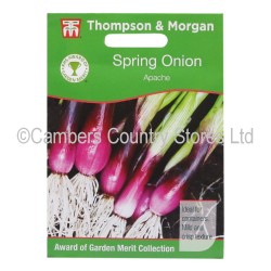 Thompson & Morgan Spring Onion Apache